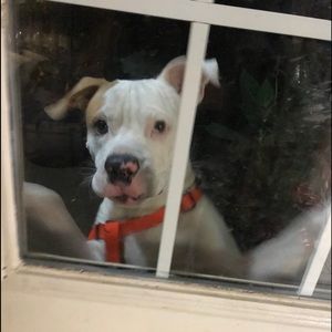 Meet your Posher, Jesse